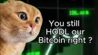 This Week in Bitcoin Memes - February 18, 2024