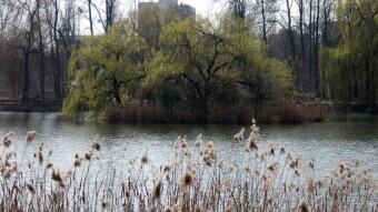 The calendar spring became a fact and welcomed us in a truly spring-like way - My Actifit Report Card: March 21 2024