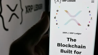 Silent Accumulation: XRP Large-Holder Wallets Hit Record Highs as Institutional Pilots Mature 🐋📈