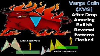 Verge Coin (XVG) After The Drop Amazing Bullish Reversal Patterns Flashed