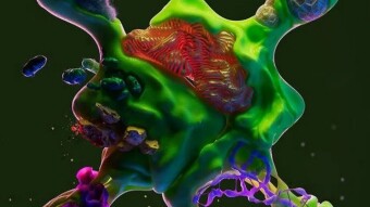 What is BioDAO ? The $BIO listing on Binance makes DeSci HOT