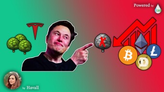 Elon Musk "BITCOIN IS NOT GREEN" and removes it as TESLA PAYMENT⛔️