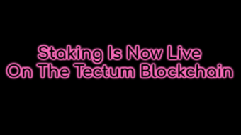 Tectum's TET Token Up 280% Since December 26, 2023!