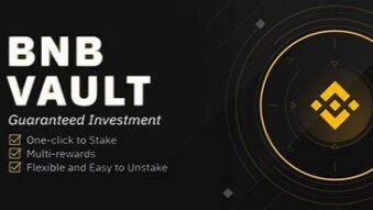 BNB VAULT