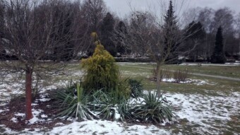 Afternoon, evening and night walking - My Actifit Report Card: February 27 2023