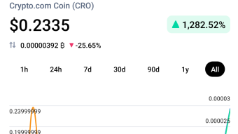 Cro: Should you stake it?