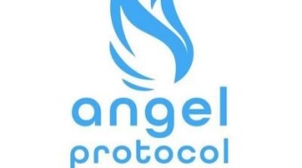 Angel Protocol Video Review