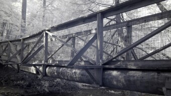 Log Bridge across the creek - Infrared Photography
