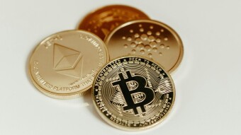 The Psychology of Bitcoin HODLers: When Diamond Hands Become a Cult