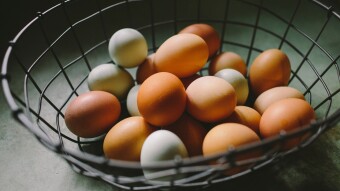 Building a Crypto Portfolio - 1. Why Diversify?