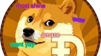 What is the point of Dogecoin?