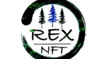 REX-The Best Utility NFT Token That Will Certify The Energy Generation Grid
