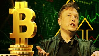What is Elon Musk Doing?