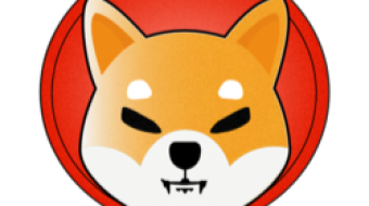 What's Next After Shiba? Yooshi? Akita? Bafe? Feg? Ass? Poodle? Gorilla Diamond? Eclipse?