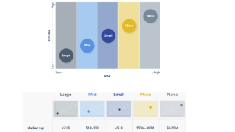 Coin Marketcap And Chryptocurrency Investment Risk