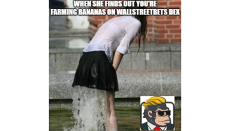 WallStreetBets DEX is Live! Let's celebrate with meme!