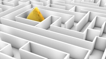 Who Moved the Cheese? Book review about how to accept Change