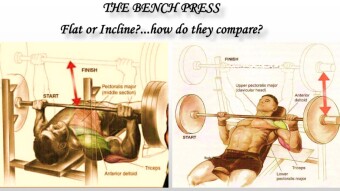 THE BENCH PRESS: Does it really matter whether you are using a flat or incline?