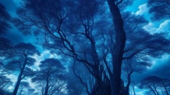 Blue forest / bosque azul