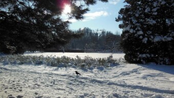 Another sunny and relatively warm day spent on an intense walk - My Actifit Report Card: December 5 2023