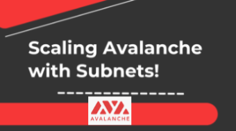 Avalanche And Subnets: Best Scalability Solution?