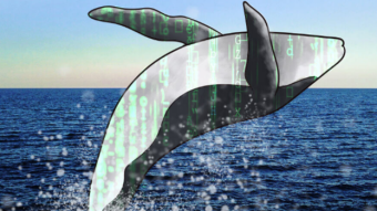 The Whales start September with a force pushing the market crypto