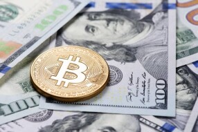Bitcoin and Dollar war Who is win?