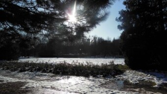 I really like quick and dynamic changes in the weather, especially in winter - My Actifit Report Card: December 11 2023