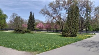 It was supposed to be a spring Saturday, but the wind was blowing, so it wasn't fun - My Actifit Report Card: April 25, 2026