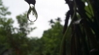 WATER DROPS Photography.