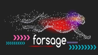 Forsage Update and Payment proof