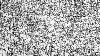 Cryptoeconomic Protocol Design and Adaptable Self-Organized Complexity