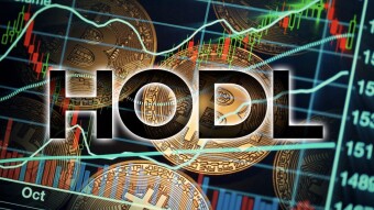 Opinion From a "Veteran" of the 2018 Bear Market : Stay Strong, Stay a Bitcoin HODLer