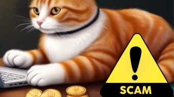 Scam Alert! How I Dodged a Crypto Job Scam