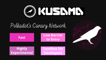 Kusama- Polkadot's Canary Network