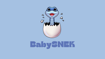 BabySNEK A New Cardano Meme Coin To Be The Next Big Thing!