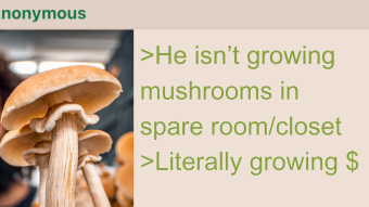Oyster Mushroom Farming