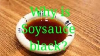 Why Soysauce is black while soy milk is white