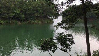 Red flower lake. Part 2.