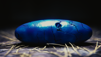 The Dragon Egg