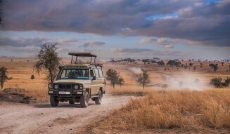 Top 10 Safari Parks in the World You Must Visit