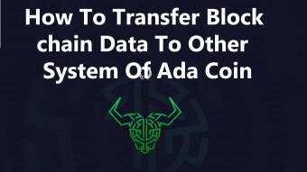 How To Transfer Block chain Data To Other System Of Ada Coin