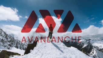 Chase for Profit: AVAX Replaces SHIB