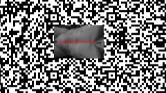 DIGITIZED POETRY AS ART