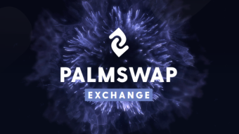 Palmswap Launch Token buy now