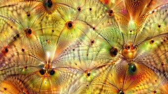 Flower Dreams #1