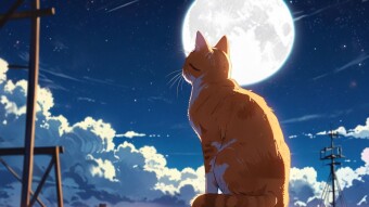 Linea Voyage Surge: Your Ticket to the Crypto Moon? (Here's How to Get Onboard!)