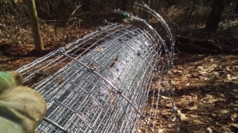 Apocalyptic Homesteading (Day 32)