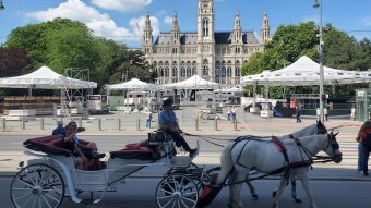 Day 13 - Our Day in Vienna (It's not supposed to be this HOT)