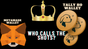 Metamask or Tally Ho wallet, who calls the shots?